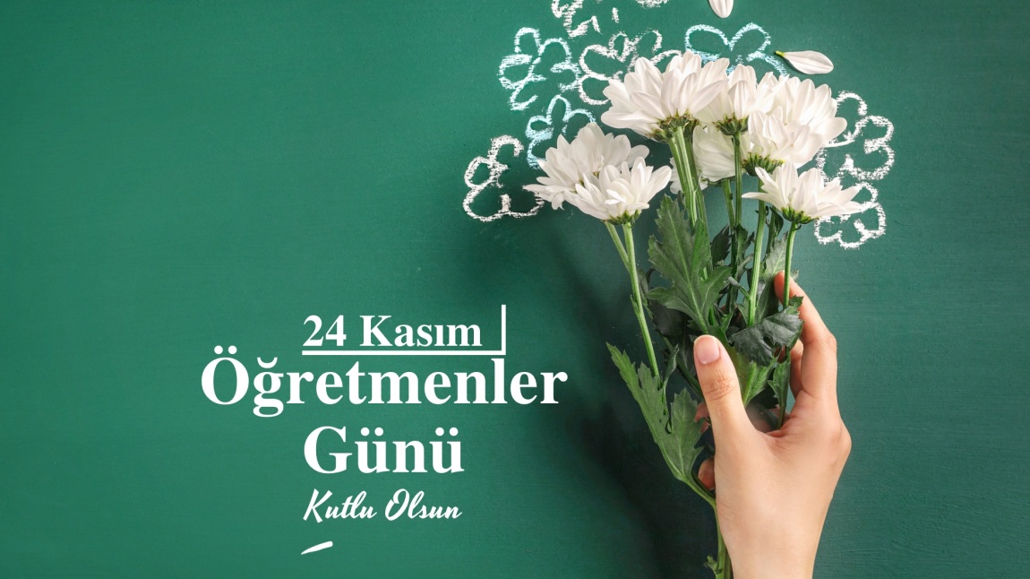 24 KASIM